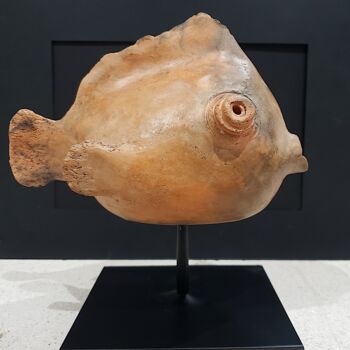 Sculpture titled "Poisson Bubulle II" by Muriel Mougeolle, Original Artwork, Clay