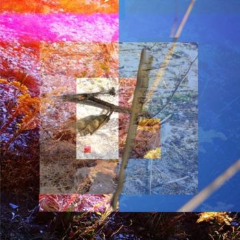Digital Arts titled "1" by Dmitri Matkovsky, Original Artwork, Collages