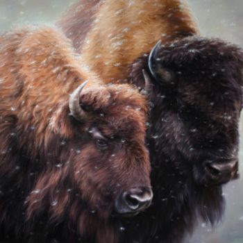 Painting titled "Wild Buffaloes" by Mykola Kaftan, Original Artwork, Oil