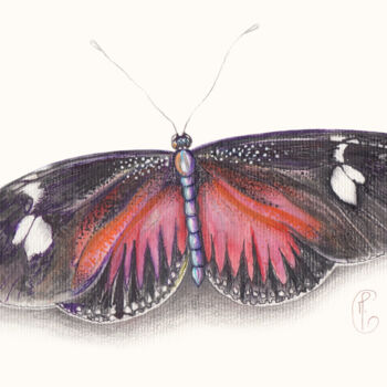 Peinture intitulée "Papillon tropical" par Mylène Goyat, Œuvre d'art originale, Aquarelle Monté sur Aluminium