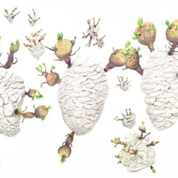 제목이 "Pommes de Ciel"인 그림 Myriam Schmaus로, 원작, 흑연 판지에 장착됨