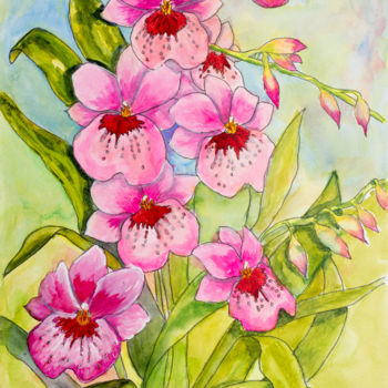 Painting titled "Roses Orchidées" by Myriam Lonardi, Original Artwork, Watercolor