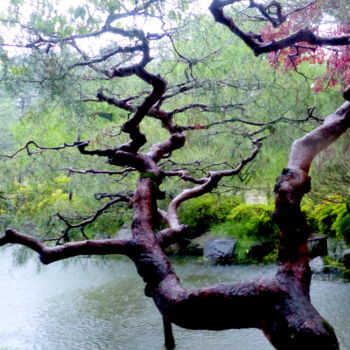 Fotografia zatytułowany „arbre au Japon #art…” autorstwa Myriam Wetzstein, Oryginalna praca, Fotografia nie manipulowana Zam…