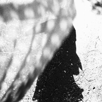 Photographie intitulée "Shadow in the wind…" par Myrthe Ciancia, Œuvre d'art originale, Photographie numérique