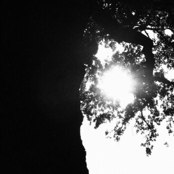 Фотография под названием "Embrace the Sun - L…" - Myrthe Ciancia, Подлинное произведение искусства, Цифровая фотография