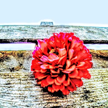 Digitale Kunst mit dem Titel "Red flower" von Natas Dam, Original-Kunstwerk, Digitale Malerei