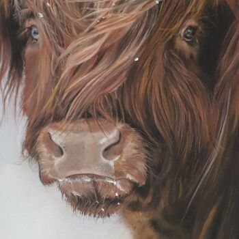 Desenho intitulada "Highland, vache ang…" por Nad Bonzi, Obras de arte originais, Pastel