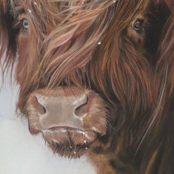 Tekening getiteld "Highland, vache ang…" door Nad Bonzi, Origineel Kunstwerk, Pastel