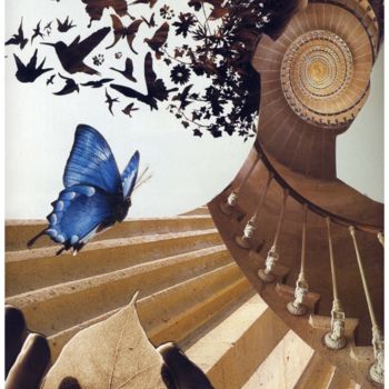 Fotografia intitolato "Papillon.jpg" da Nadine Hiver, Opera d'arte originale