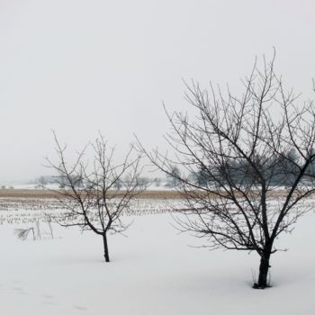 Photography titled "Rural bleakness" by Nadine Mitchell, Original Artwork