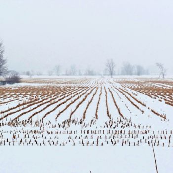 Photography titled "Rural winter bleakn…" by Nadine Mitchell, Original Artwork