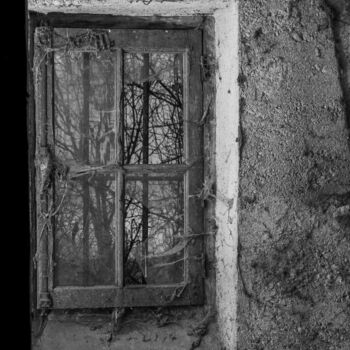 Photographie intitulée "WINDOWS 005" par Naep, Œuvre d'art originale, Photographie numérique