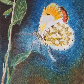 Рисунок под названием "butterfly" - Nafiseh Jafary, Подлинное произведение искусства, Карандаш