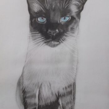 Dessin intitulée "Gato Nick" par Sandra Regina Herrera, Œuvre d'art originale, Crayon