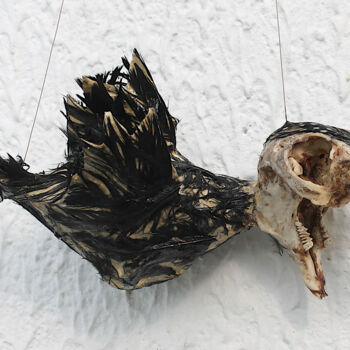 Sculptuur getiteld "Le petit déplumé" door Nancy Cardinal, Origineel Kunstwerk, Papier maché