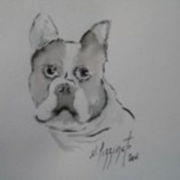 Drawing titled "BOULEDOGUE FRANCAIS…" by Nadine Pizzinato, Original Artwork, Other