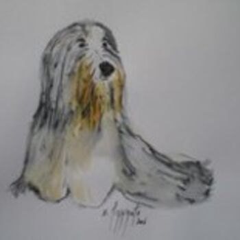 Drawing titled "chien COLLIE BARBU…" by Nadine Pizzinato, Original Artwork, Other