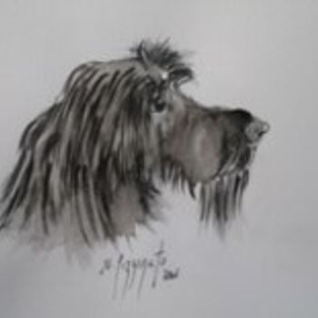 Drawing titled "CHIEN LEVRIER D'IRL…" by Nadine Pizzinato, Original Artwork, Other