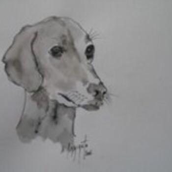 Drawing titled "CHIEN AZAWAKH N°243" by Nadine Pizzinato, Original Artwork, Other