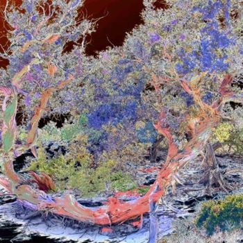 Digital Arts titled "Magic Tree 1" by Cris Orfescu, Original Artwork, Digital Painting