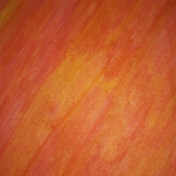 绘画 标题为“Orange” 由Nara Sousa, 原创艺术品, 水粉
