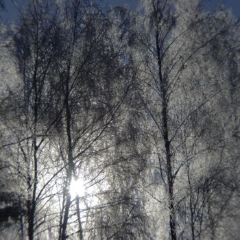 Photographie intitulée "Зима" par Nata K, Œuvre d'art originale, Photographie numérique