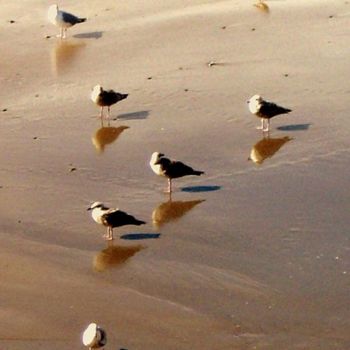 Photographie intitulée "LES MOUETTES" par Natacha B, Œuvre d'art originale