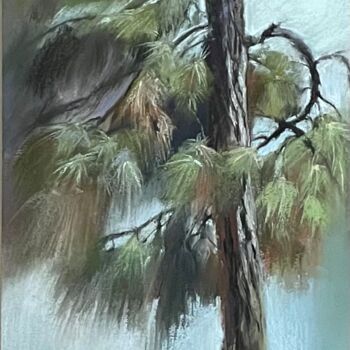 Painting titled "pine tree portrait…" by Natalia Balashova. Pastelist., Original Artwork, Pastel