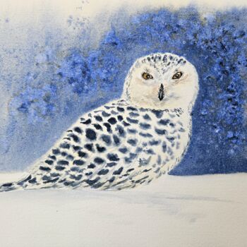 Painting titled "Snowy owl" by Natalia Kuznetsova, Original Artwork, Watercolor