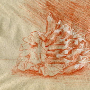 Desenho intitulada "Botte de radis" por Nathalie Bernard, Obras de arte originais, Conté
