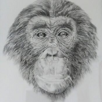 Drawing titled "César" by Nathalie Dubreucq Carlier, Original Artwork