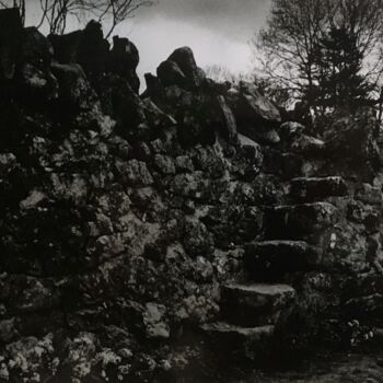 "Cork countryside 3" başlıklı Fotoğraf Nathalie Simon tarafından, Orijinal sanat, Analog Fotoğrafçılık Karton üzerine monte…