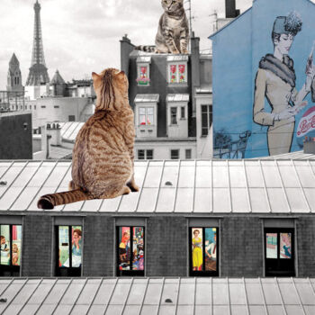 Digital Arts titled "Chat sur les toits…" by Nathalie Simonet, Original Artwork, Photo Montage