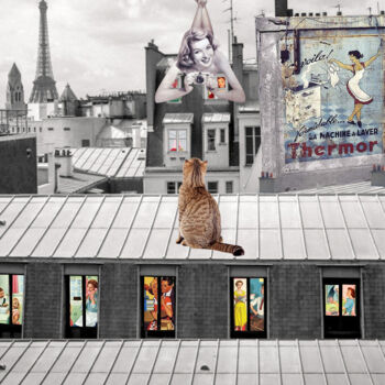 Digitale Kunst getiteld "Séance photo sur le…" door Nathalie Simonet, Origineel Kunstwerk, Foto Montage
