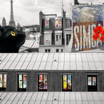 Digitale Kunst mit dem Titel "Chat noir sur les t…" von Nathalie Simonet, Original-Kunstwerk, Fotomontage