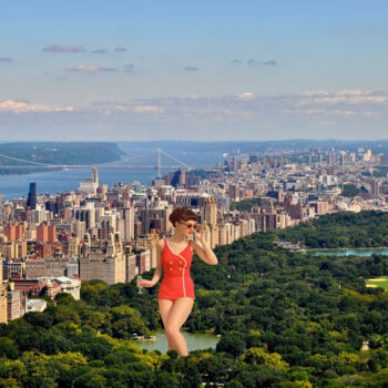 Arts numériques intitulée "Central Park à New…" par Nathalie Simonet, Œuvre d'art originale, Photo montage