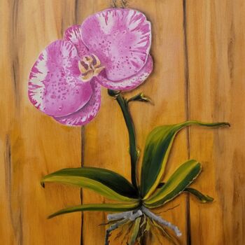 Painting titled "Singel Orchidea" by Natia Kanelis, Original Artwork, Oil