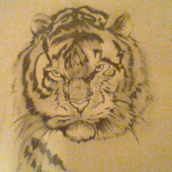 Drawing titled "Tiger.jpg" by Natie Tembe, Original Artwork, Other