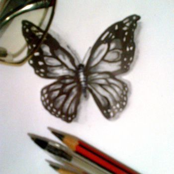 Drawing titled "butterfly study" by Natie Tembe, Original Artwork