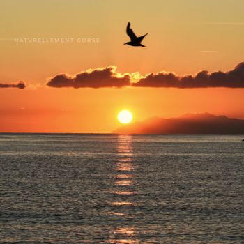 Photographie intitulée "Lever de soleil" par Naturellement Corse, Œuvre d'art originale, Photographie numérique