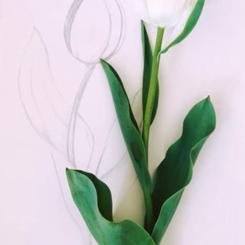 Dessin intitulée "Danse de tulipes" par Clara.C, Œuvre d'art originale, Crayon