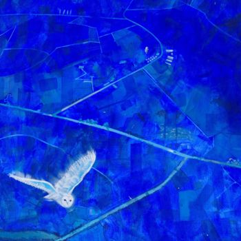 Painting titled "ghost-flight-galler…" by Neil Whitehead, Original Artwork, Acrylic