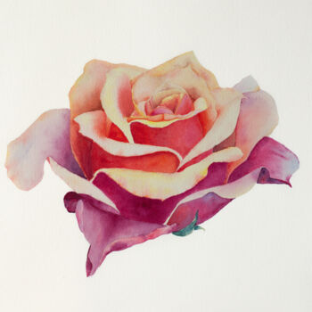 Painting titled "Rose my my mother's…" by Nelia Hryhorenko, Original Artwork, Watercolor