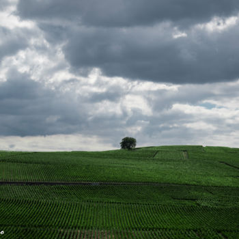 Fotografía titulada "Windows Xp v2" por Nell-Io, Obra de arte original, Fotografía digital