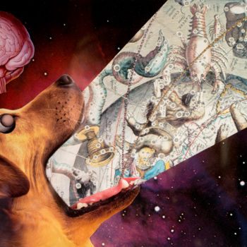 Collages getiteld "The dog knows" door Dysfunctional Brain Works, Origineel Kunstwerk, Papier