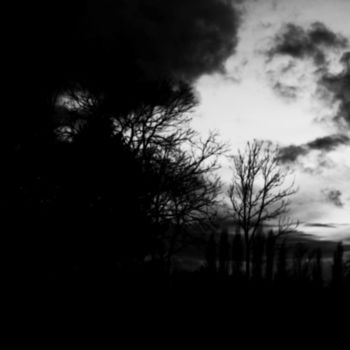 Fotografia zatytułowany „Dark Trees” autorstwa Neonitrus, Oryginalna praca