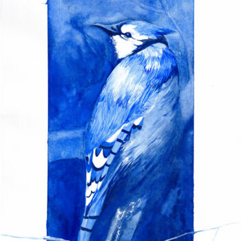 Painting titled "Geai Bleu" by Neyda Omar (Neyptune), Original Artwork, Watercolor