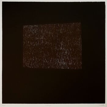 Gravures & estampes intitulée "L'écran" par Nicolas Goulette, Œuvre d'art originale, Xylographie