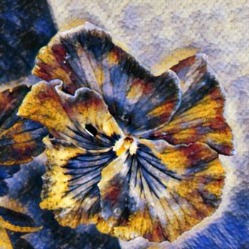 Digital Arts με τίτλο "Flower of Paint" από Nia Carr, Αυθεντικά έργα τέχνης, Φωτογραφία Μοντάζ