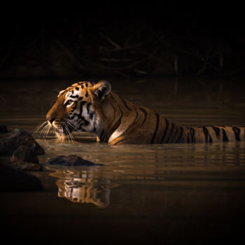 Photographie intitulée "Bath Time" par Nick Dale, Œuvre d'art originale, Photographie numérique